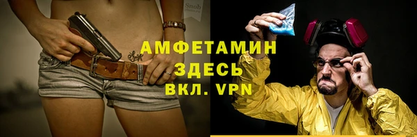 крисы Алексин