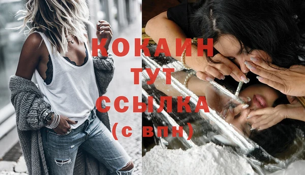 круглые Абаза