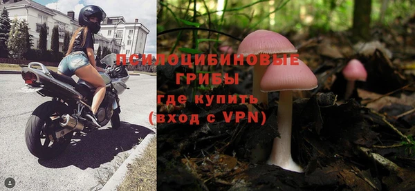круглые Абаза