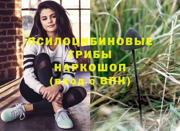 таблы Алексеевка