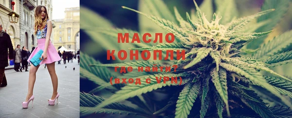 дживик Абинск