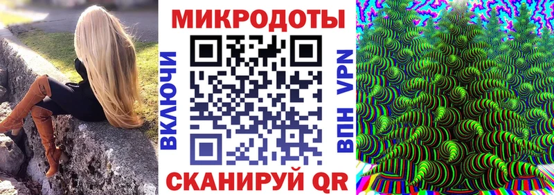 Псилоцибиновые грибы Cubensis  blacksprut ссылка  Новопавловск 